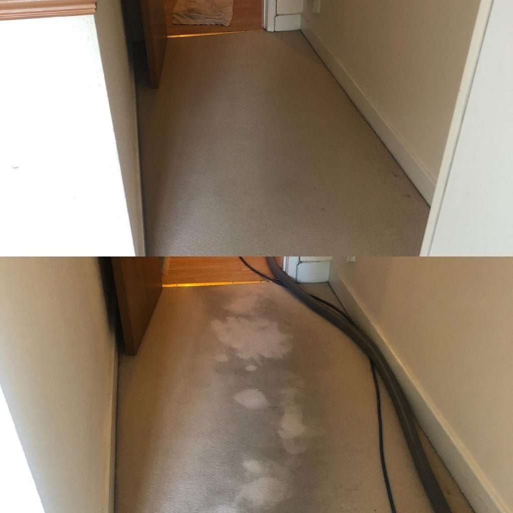 How Clean Are Your Carpets?