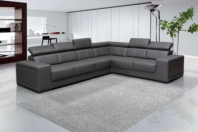 Professional Carpet & Upholstery Cleaning