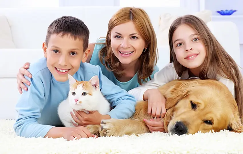 Family with cat and dog on clean Carpets