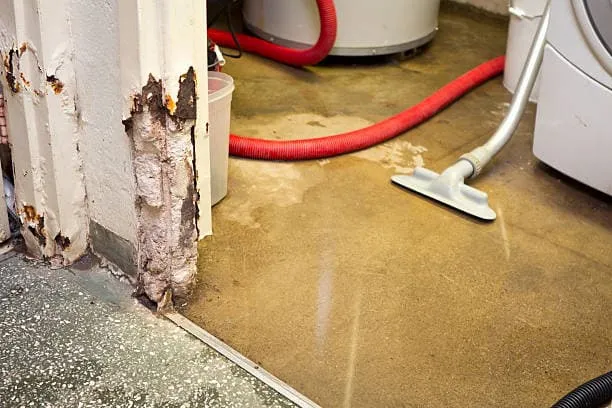 Flood Restoration