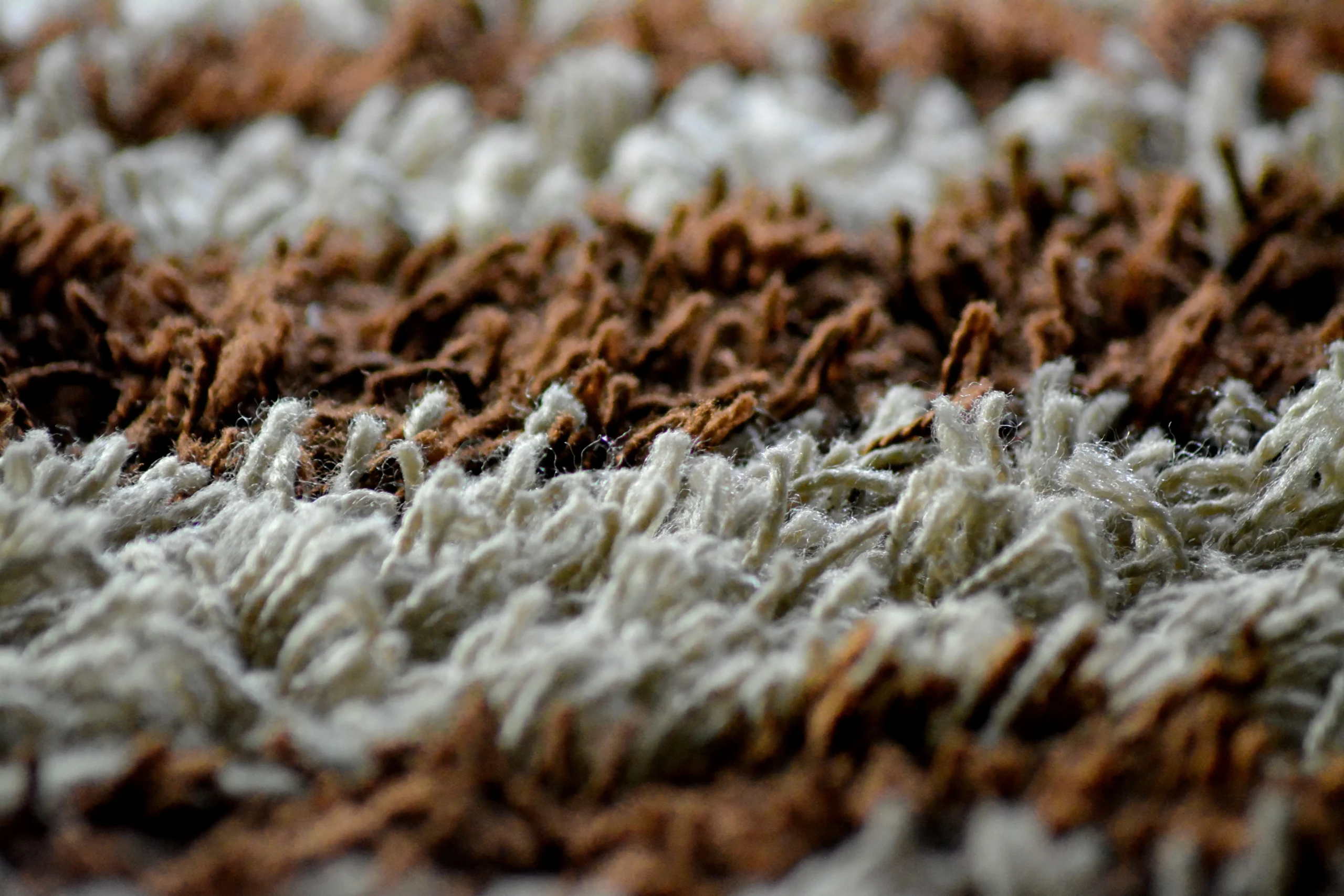 Carpet Cleaning
