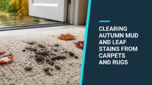 Fresh mud marks and a few wet autumn leaves on a light cream rug just inside an open front door.