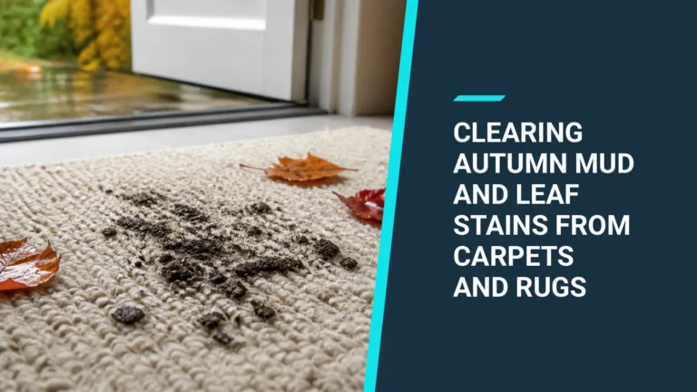 Fresh mud marks and a few wet autumn leaves on a light cream rug just inside an open front door.